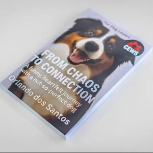 From Chaos to Connection