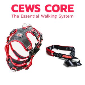 CEWS Core: The Essential Walking System