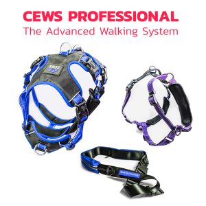 CEWS Professional: Advanced Walking System