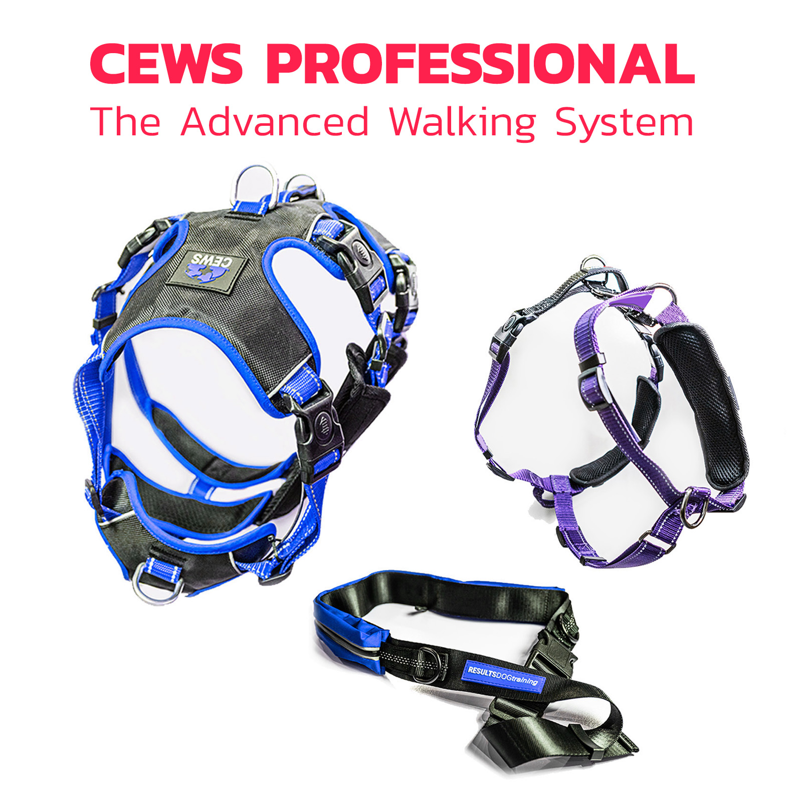 CEWS Professional: Advanced Walking System