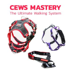 CEWS Mastery: Ultimate Walking System