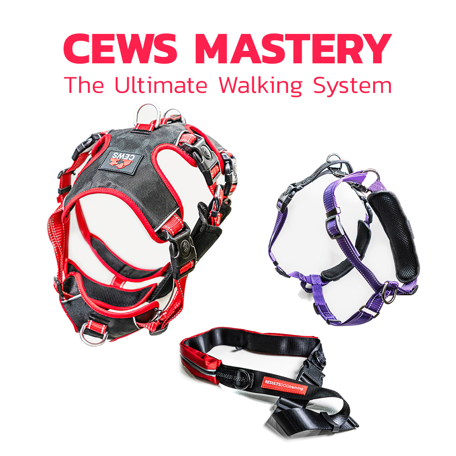 CEWS Mastery: Ultimate Walking System